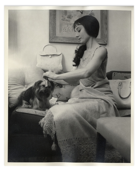 Audrey Hepburn Personally Owned Photo, Taken During Filming of ''Green Mansions'' -- Audrey Is Shown Here With Her Beloved Yorkshire Terrier ''Mr. Famous''